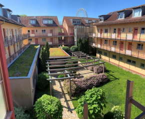 Drei Möwen - 35-58 in Kühlungsborn